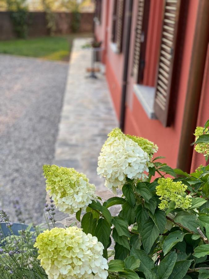 Il Mallo Verde - Lake Como B&B Mandello del Lario Zewnętrze zdjęcie