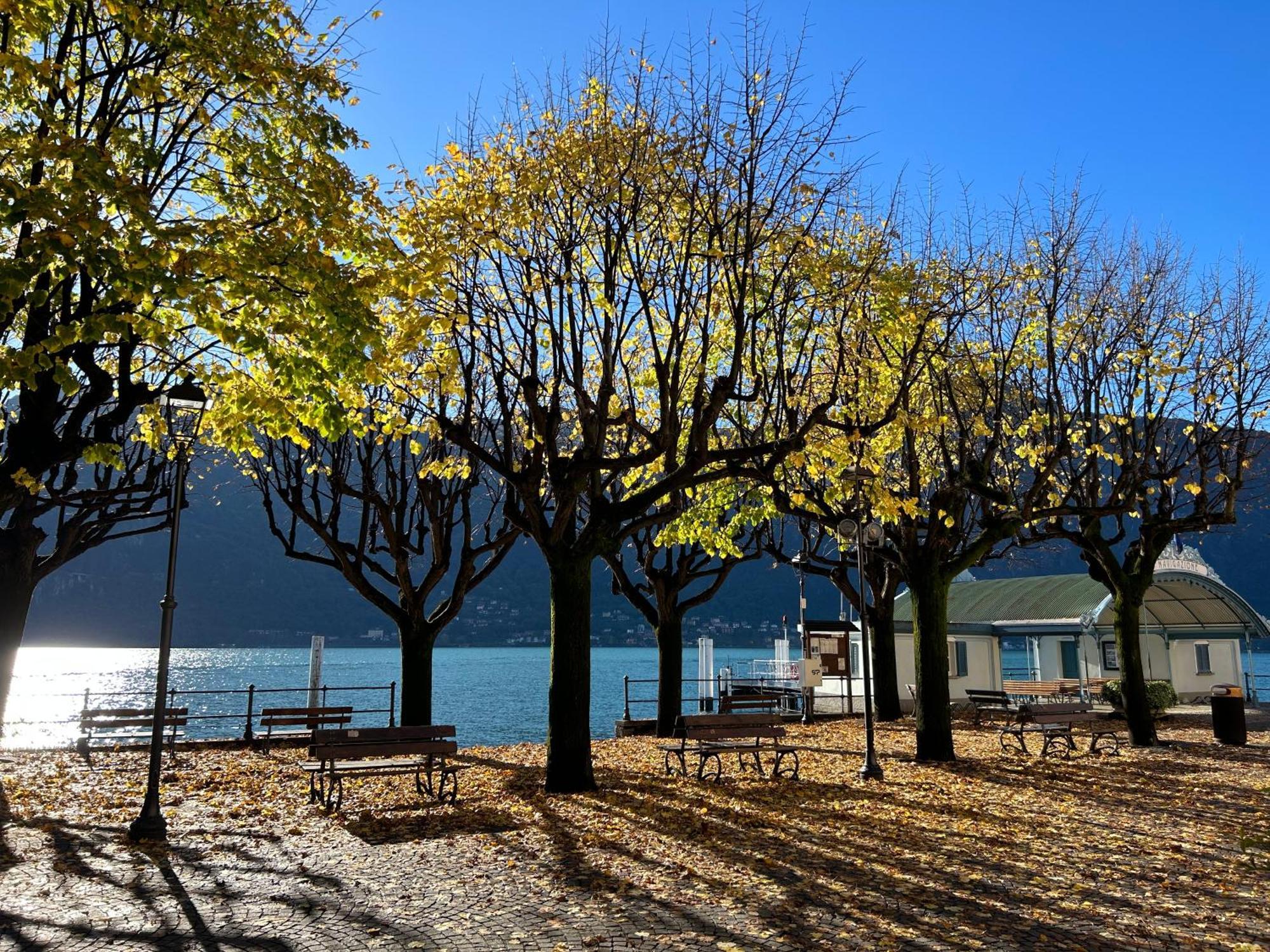Il Mallo Verde - Lake Como B&B Mandello del Lario Zewnętrze zdjęcie